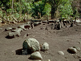 
Un parcours océanien en images. Hommage à José Garanger (1926-2006). Les premiers travaux. Pierres-dossiers et pierres dressées dans un ancien lieu de réunion à Mangarisu île de Tongoa (Vanuatu)
