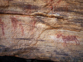 
Des peintures rupestres d'Afrique Australe. Namibie. Il y a d'autres figures, de lecture moins aisée, représentant des animaux
