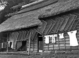 
Le Japon de 1937 à 1939 vu par André Leroi-Gourhan, la vie agricole. Des cadres de vers à soie séchant après usage sur un mur de maison, à Segikawa, village situé à 3 km au nord de celui de Nojiri, Nagano

