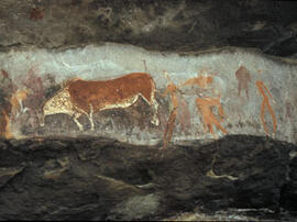 
Des peintures rupestres d'Afrique australe. Afrique du Sud. Les animaux et en particulier l'éland sont omniprésents dans l'art rupestre des San

