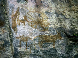 
Des peintures rupestres d'Afrique Australe. Botswana. Une grande partie des figures de Tsodillo Hills sont peintes en rouge et représentent des animaux, mais on trouve aussi des figures géométriques et des figures peintes en blanc
