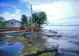 
Trois millénaires de civilisation entre Colombie et Equateur. La région de la Tumaco La Tolita. Village "La Vigia" (embouchure Sanquianga)
