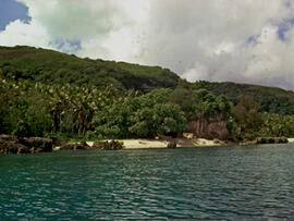 
Un parcours océanien en images. Hommage à José Garanger (1926-2006). Les premiers travaux. Mangaasi (Vanuatu), l'une des plaines côtières de la région occidentale d'Efate
