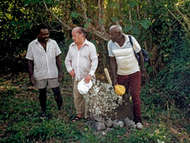 
Un parcours océanien en images. Hommage à José Garanger (1926-2006). Les premiers travaux. José Garanger (au centre) à Retoka (Efate, Vanuatu) en 1996
