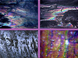 
Chaîne d'observations microscopiques : un outil pour la recherche. Images numériques. Tracéologie osseuse. En haut à gauche : surface de la partie active d'un lissoir expérimental utilisé pour assouplir une peau de cerf sèche. Microscope à lumière réfléchie (x100). En bas à gauche : surface de la pointe expérimentale utilisée pour perforer par rotation de l'écorce. En haut à droite : pointe d'une épingle à cheveux expérimentale (x100). En bas à droite : pointe d'une aiguille de couture de cuir tanné expérimentale (x500). Microscope à lumière réfléchie
