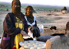 
Hommage à l'hospitalité syrienne. Scène de la vie courante. Au soleil levant, préparation et cuisson du pain quotidien (Moyen Euphrate, Syrie)
