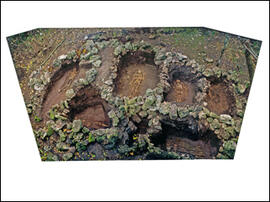 
Un parcours océanien en images. Hommage à José Garanger (1926-2006). Complémentarité archéologie, tradition orale et fouilles de sites funéraires.Tertre funéraire de Korotuku (Cikobia-i-Ra, Fidji) à la fin de la fouille, 1999. L'étude archéologique a été menée dans le cadre d'un projet de coopération Franco/Néo-Calédo/Fidjien financé en partie par le Ministère français des Affaires Etrangères, I. Le Goff, C. Sand et F. Valentin, membres de l'équipe ArScAn-Ethnologie préhistorique, y ont participé
