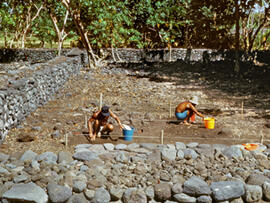 
Un parcours océanien en images. Hommage à José Garanger (1926-2006). Fouilles, études et restaurations de marae et ahu à Tahiti (1963-1995). Tahiti, Marae Ta'ata, fouille d'une enceinte
