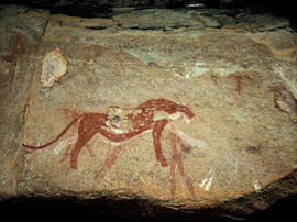 
Des peintures rupestres d'Afrique australe. Afrique du Sud. Les fauves sont aussi représentés dans l'art rupestre, parfois accompagnés ou superposés d'anthropomorphes
