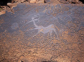 
Des peintures rupestres d'Afrique Australe. Namibie. Figure fantastique représentant un quadrupède avec une étrange tête
