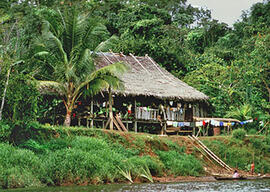 
Trois millénaires de civilisation entre Colombie et Equateur. La région de la Tumaco La Tolita. Région à l'époque actuelle. Maison sur pilotis, rive du fleuve Santiago (Equateur)
