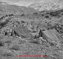 Film n°84. Khirbat adh-Dharih, campagne 2, novembre-décembre 1985