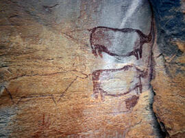 
Des peintures rupestres d'Afrique Australe. Botswana. Dans d'autres cas, leur état de conservation est exceptionnel
