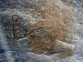 
Des peintures rupestres d'Afrique Australe. Botswana. Il faut rappeler que les sites se trouvent au nord-ouest du pays à plus de 1000 km de l'océan Indien et de l'océan Atlantique. Malgré cette distance, on trouve des figures représentant des palmipèdes marins et des baleines
