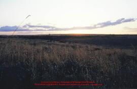 Paysages environnants. Diapositives 898-902