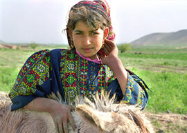 
Hommage à l'hospitalité syrienne. Portrait de jeune fille. Près du pont à caissons de Halabiyeh, une jeune paysanne accoudée sur son âne (Moyen Euphrate, Syrie)
