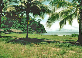 
Trois millénaires de civilisation entre Colombie et Equateur. La région de la Tumaco La Tolita. Sites et fouilles. Le site du port El Morro à Tumaco (Colombie)
