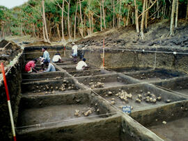 
Un parcours océanien en images. Hommage à José Garanger (1926-2006). Les premiers travaux. Tongoa (Vanuatu), site de Mangarisu, le chantier : les murs limitant les carrés ont été conservés pour une meilleure conduite de la fouille en stratigraphie artificielle
