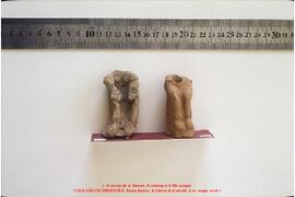 Feuillet 9