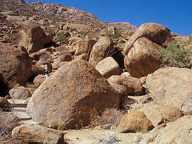 
Des peintures rupestres d'Afrique Australe. Namibie. Brandberg. Région de la cavité avec peintures rupestres connues au départ comme Maack's shelter et plus tard comme "grotte de la Dame Blanche"
