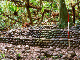 
Un parcours océanien en images. Hommage à José Garanger (1926-2006). Les premiers travaux. Tahiti, presqu'île de Tautira, marae le long de la Vaiote
