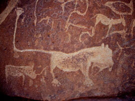 
Des peintures rupestres d'Afrique Australe. Namibie. Toutefois, les animaux gravés ne sont pas nécessairement une photographie de la réalité. Lion avec une queue démesurée, terminée par une empreinte
