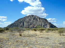 
Des peintures rupestres d'Afrique Australe. Botswana. Au nord-ouest du Botswana se trouve l'ensemble de 4 collines Tsodillo Hills. On y trouve près de 4500 peintures rupestres dont la poitié serait des animaux, 37% de figures géométriques et seulement 13% d'anthropomorphes
