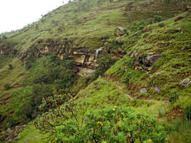 
Des peintures rupestres d'Afrique australe. Afrique du Sud. Drakensberg : route vers le site avec peintures rupestres Game Pass
