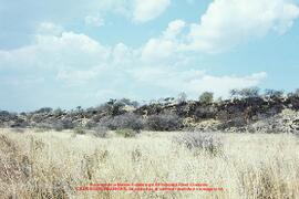 Paysages autour du camp. Diapositives 1243-1245