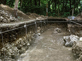 
Un parcours océanien en images. Hommage à José Garanger (1926-2006). Les premiers travaux. Mangaasi (Vanuatu), tranchée ayant permis d'analyser la stratigraphie du site

