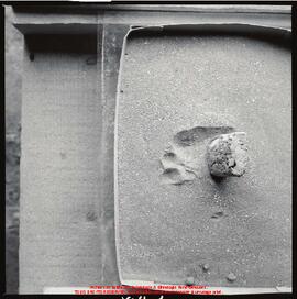 Film n° 16