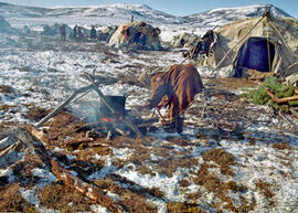 
Vivre avec les rennes. Techniques. Feu culinaire devant la tente. Région d'Atchaïvaïam, Nord Kamtchatka
