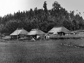 
Le Japon de 1937 à 1939 vu par André Leroi-Gourhan, l'architecture rurale. Un groupe de fermes à Okubo, village situé à 1.5 km sud de celui de Nojiri, Nagano

