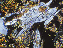 
Chaîne d'observations microscopiques : un outil pour la recherche. Images numériques. Micromorphologie.  Lentilles de gypse dans un niveau d'occupation (lumière croisée, x200) . La récurrence du processus de dissolution/précipitation des sels solubles -dont le gypse- contribue à l'altération des matériaux de construction. Tuleilat Ghassoul (Jordanie). Néolithique et Chalcolithique (~ 7000-5000 14C BP). Microscope pétrographique
