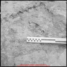 Film n° 8