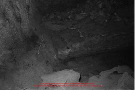 Film n°24. Iraq al-Amir, fouilles du village, chantier B et chantier de la grotte G2