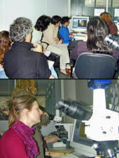 
Chaîne d'observations microscopiques : un outil pour la recherche. Images numériques. Ambiance du laboratoire  Formation des personnels et des étudiants à la capture d'images numériques et à leur traitement informatique
