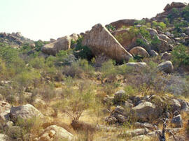 
Des peintures rupestres d'Afrique Australe. Angola. Sous le rocher triangulaire se trouve le site de peintures rupestres de Kenguerera
