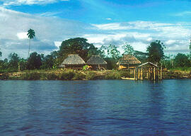 
Trois millénaires de civilisation entre Colombie et Equateur. La région de la Tumaco La Tolita. Sites et fouilles. Le site archéologique de la Tolita-Cancha
