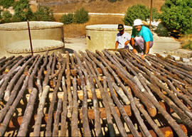 
Reconstitution de l'habitat néolithique à Khirokitia (Chypre). Des troncs non équarris mais écorcés ont été utilisés pour les poutres maîtresses, des perches plus ou moins rectilignes pour les solives
