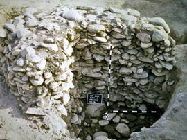 
Recherches franco-bulgares sur le site néolithique de Kovacevo en Bulgarie. Les structures. Soubassement rond en pierres en cours de fouilles, datant du bronze ancien bulgare dans le secteur P

