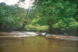 
Trois millénaires de civilisation entre Colombie et Equateur. La région de la Tumaco La Tolita. Chenal de la marée près de Tumaco (Colombie)
