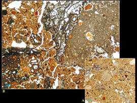 
Chaîne d'observations microscopiques : un outil pour la recherche. Images numériques. Micromorphologie. A : torchis composé d'une terre argileuse riche en oxydes de fer et contenant de nombreux fragments de calcrètes (éléments gris foncés) et d'autres roches calcaires (gris clairs) et magmatiques (rouges sombres)  (x20) . B : calcin formé à la base d'une calcrète et contenant des particules argileuses identiques à la terre encaissante (x200) . Shillourokambos (Chypre). Néolithique précéramique (~ 9000 – 8000 14 C BP). Microscope pétrographique
