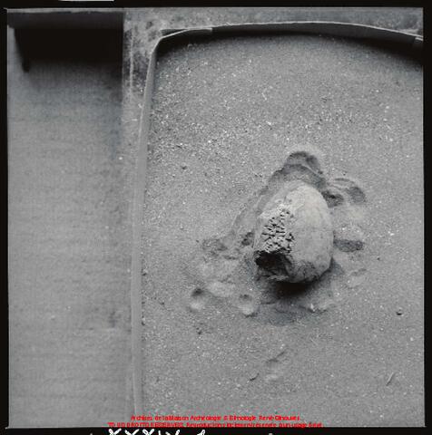 Open original Objet numérique