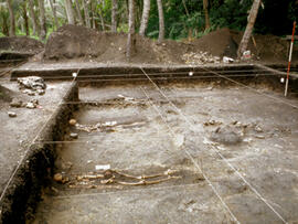 
Un parcours océanien en images. Hommage à José Garanger (1926-2006). Les premiers travaux. Ilôt Mele (Vanuatu), sépultures, en partie détruites par l'éboulement des terres sous l'action des vagues, mises au jour dans le talus dominant la plage
