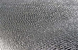 
Chemins vers l'Orient, Chine. Désert du Taklamakan (Xinjiang), rides de sable produites par le vent
