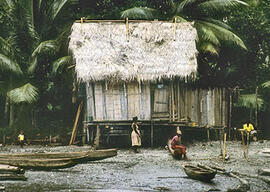 
Trois millénaires de civilisation entre Colombie et Equateur. La région de la Tumaco La Tolita. Région à l'époque actuelle. Maison sur pilotis, LaTolita del Pailon (Equateur)
