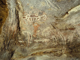 
Des peintures rupestres d'Afrique Australe. Angola. Site Tchitundo hulo opeleva. Près de 60 figures peintes en blanc, rouge, noir, orangé ou en bichromie se trouvent sur ce petit abri sous-roche. De très nombreuses figures sont d'interprétation difficile
