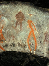 
Des peintures rupestres d'Afrique australe. Afrique du Sud. Détail de la figure précédente. Des personnages présentent des attibuts des animaux : tête d'éland, sabots, jambes. Parfois des attributs d'oiseaux. Ces personnages hybrides, des théranthropes, sont à l'origine des hypothèses chamaniques sur l'art rupestre San
