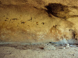 
Des peintures rupestres d'Afrique Australe. Angola. Site Macahama. On trouve des figures zoomorphes, anthropomophes, géométriques et diverses, peintes en noir et blanc, en tout il y a 150 figures
